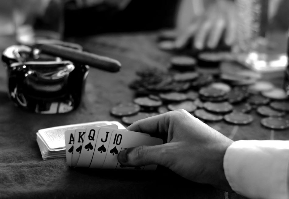 https://corgibet-casinode.com/